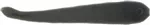Berkley Gulp Leech 3″ 12/Pk Black Olive