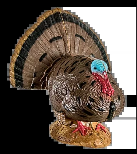 Woodland Strutting Turkey 3D Target